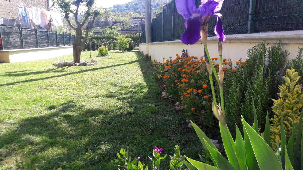 Veroli La Casina Giallaヴィラ エクステリア 写真
