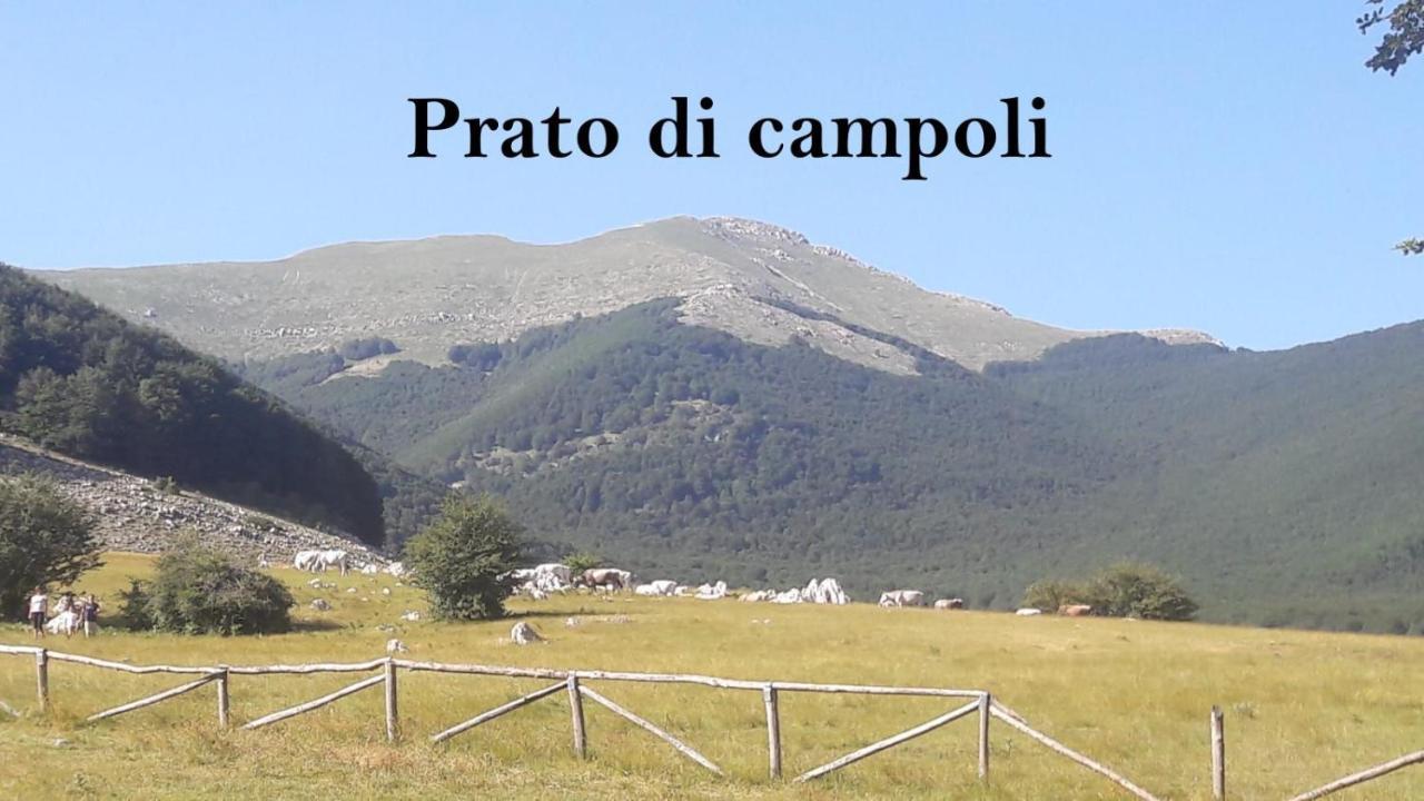 Veroli La Casina Giallaヴィラ エクステリア 写真