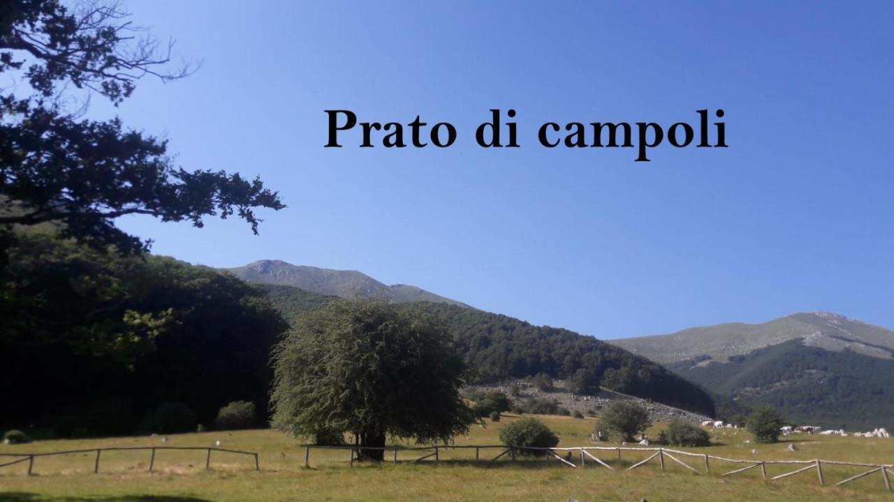 Veroli La Casina Giallaヴィラ エクステリア 写真